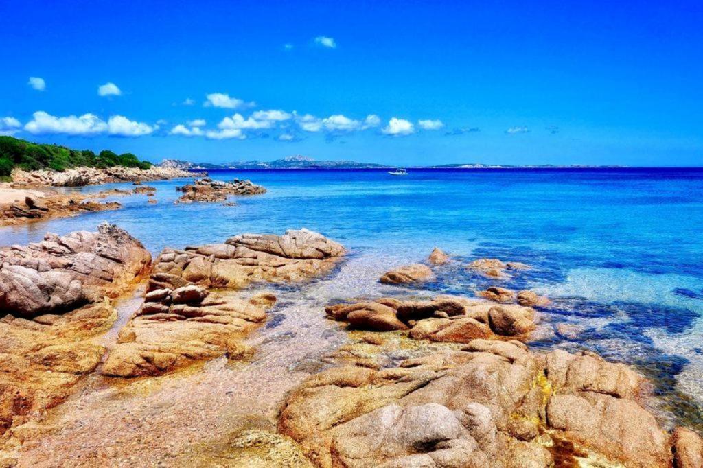 Portocervo House Daire Arzachena Dış mekan fotoğraf