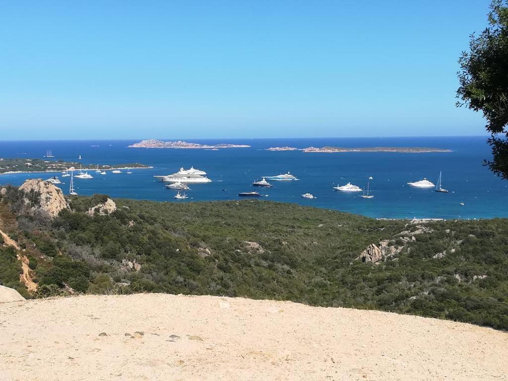 Portocervo House Daire Arzachena Dış mekan fotoğraf